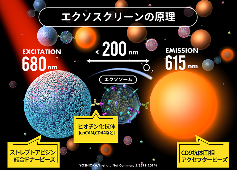 TECHNOLOGY | テオリアサイエンス株式会社｜最先端エクソソーム研究で